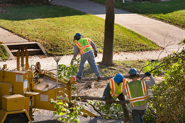 Lawn Watering Services in Salem, VA